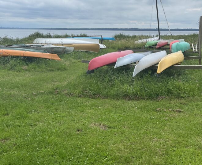 Kanoer på havnen