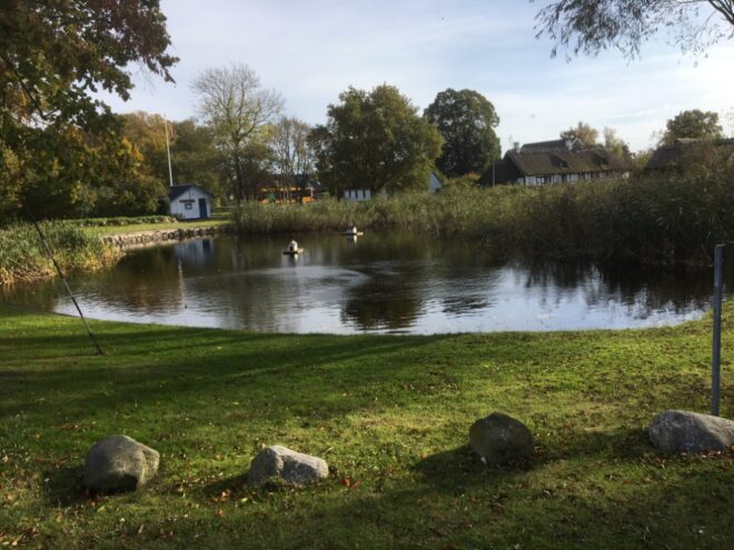 Gadekæret i Sønderby.